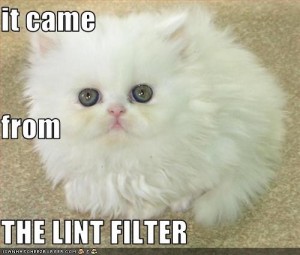 30 Steps to Energy Efficiency - Step 15: Empty the Lint Trap on Your Dryer Image